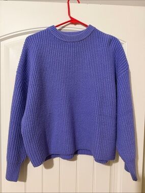 Zara Periwinkle Ribbed Crewneck Sweater